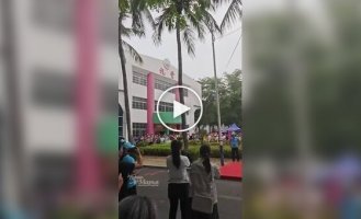 Школьница ловко забралась на пальму