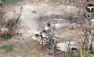 The Russian was shot down by an FPV drone with 2 kg of explosives. Video from Strike Drones