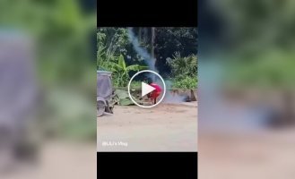 Біжи і не оглядайся!