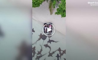 Female tourists enjoy an unusual vacation among sharks