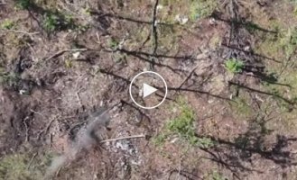 Ukrainian drone drops grenades and VOGs on Russian military positions in Zaporozhye region