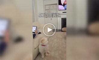 Когда муж и жена живут в разных реальностях