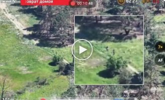 Двое оккупантов сдались в плен нашему дрону, а их в то же время пытались убить российские захватчики