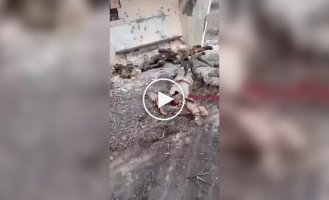 Ліквідовані окупанти валяються на автобусній зупинці