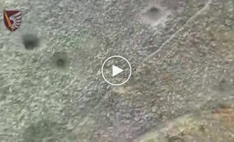 Paratroopers of the 79th Brigade destroy infantry groups of occupiers with drone drops