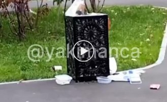 A marginal crow appeared in the courtyard of a residential building on Yakimanka