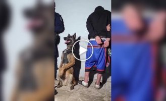 Счастливый работник месяца