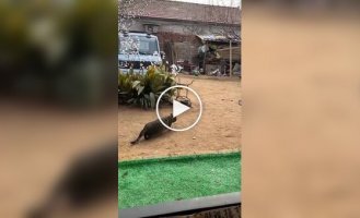 Місія повністю провалена