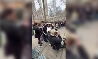 Редкая птица появилась в центре Нью-Йорка