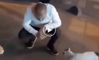 Man prevents cat fight