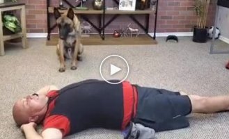 This dog knows how to give first aid better than some people