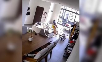 Коли домашні ігри йдуть не за планом