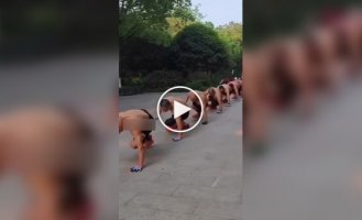Morning exercises for Chinese pensioners