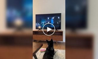 Dog howls along with the TV series heroine