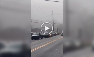 Виявлено пробку на дорозі з найнесподіванішим її початком