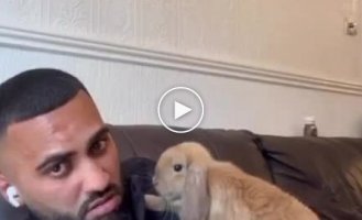 Sweetness of the day: a man raised a little rabbit