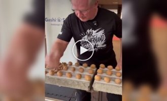 Man cracked almost 300 walnuts for the sake of a record