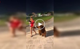 Необычная сцена в Дубае