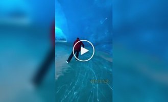 Катання всередині айсберга від норвезького ентузіаста