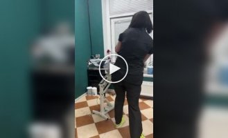 Купание агрессивного кота