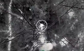 Воины 3 ОШБр уничтожают российских солдат, которые прячутся в лесах и посадках в Харьковской области