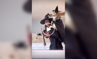 A woman and her dog are well prepared for Halloween