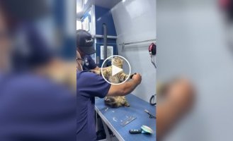 Сначала сопротивлялся, потом смирился