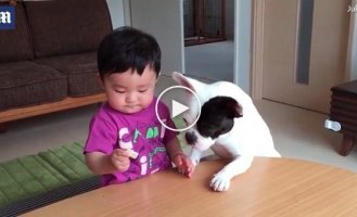 Собака утешила мальчика, съев его крекеры