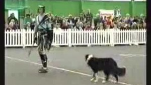 Гладиатор и его собака. Классное выступление