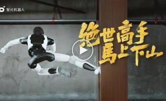 Robot is a kung fu master