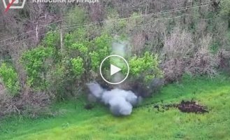 Воины 5-й ОШБр поразили позиции пехоты противника: укрепленные точки были уничтожены точными ударами дронов