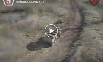 Fighters of the 5th Separate Assault Brigade destroyed several enemy vehicles and attacked shelters of Russians