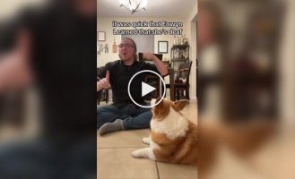 Corgi learned sign language