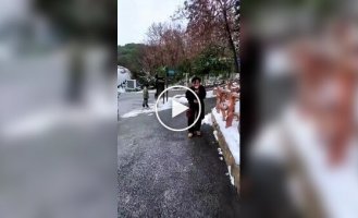 Совпало идеально