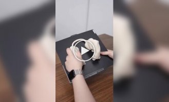 Парень сделал из своего кота настоящего качка