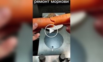 Ремонт моркови