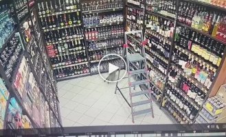 A cat caused mayhem in a liquor store