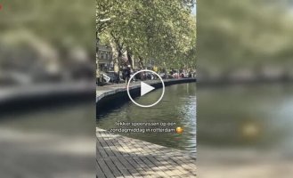 Подводная охота в центре Амстердама: рыбак с гарпуном удивил прохожих
