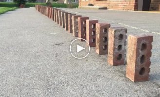 Double domino effect