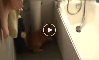 Оставляйте дверь пожалуйста открытой