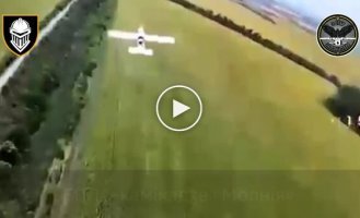 Defense forces in the sky over the Kharkiv region destroyed Russian drones and also eliminated occupiers
