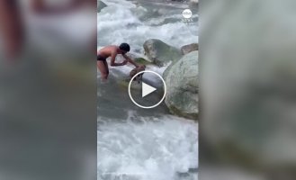 In India, a guy saved a monkey that was almost carried away by the current