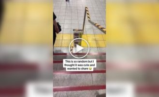Ласточка свила гнездо в метро