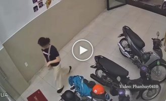 A girl didn't notice a glass door and crashed into it