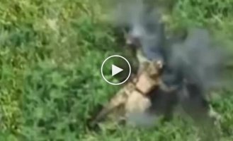 Оккупант на поле боя кончает жизнь самоубийством, заложив гранату под голову