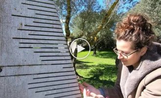 Сардинія — сад каменів, що співають