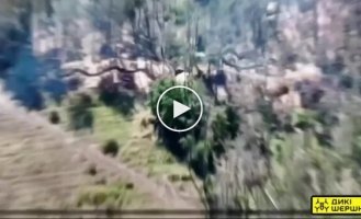 Воины 40-й ОАБр дронами Дикі Шершні атакуют российских захватчиков