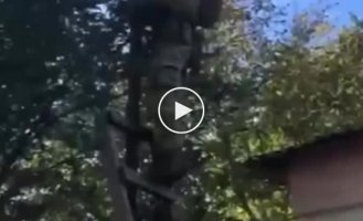 A selection of videos of damaged Russian equipment in Ukraine. Issue 80