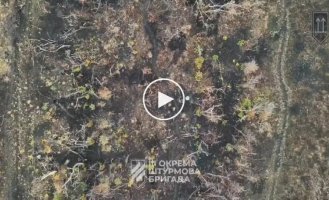 Бойцы 3 ОШБр ликвидировали живую силу врага в Харьковской области прицельными сбросами боеприпасов