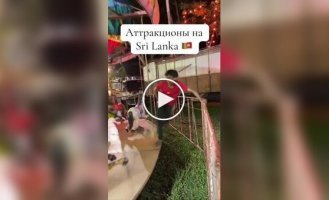 Самая спортивная работа найдена на Шри-Ланке